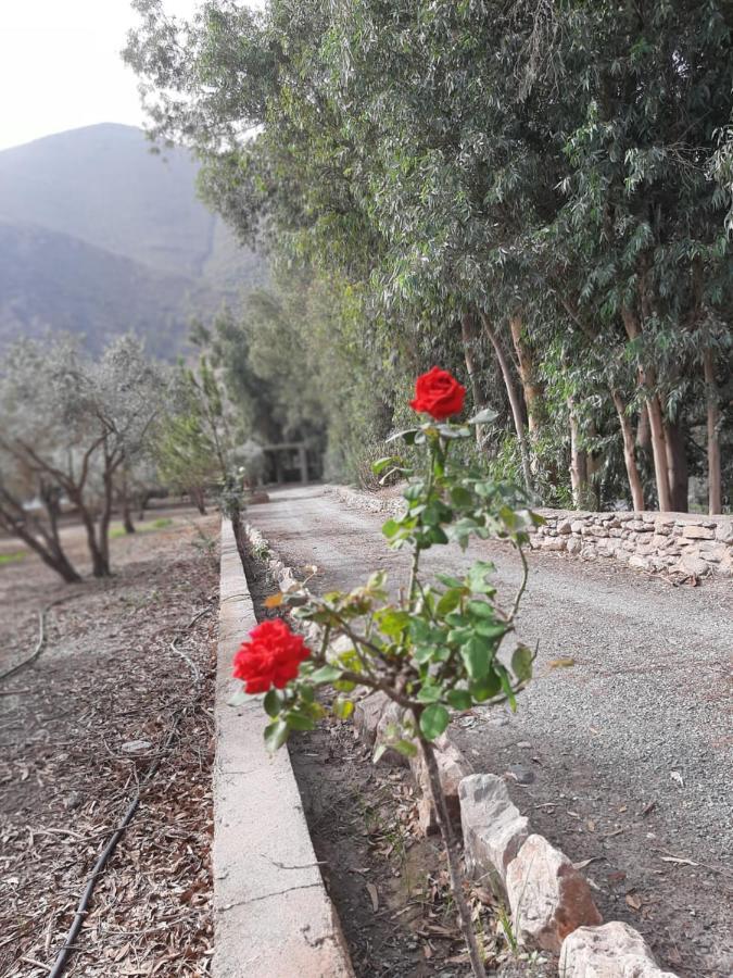 Cortijo De La Arena Fina Villa Orgiva Exterior foto
